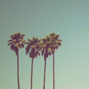 Meet your Posher, Ethan